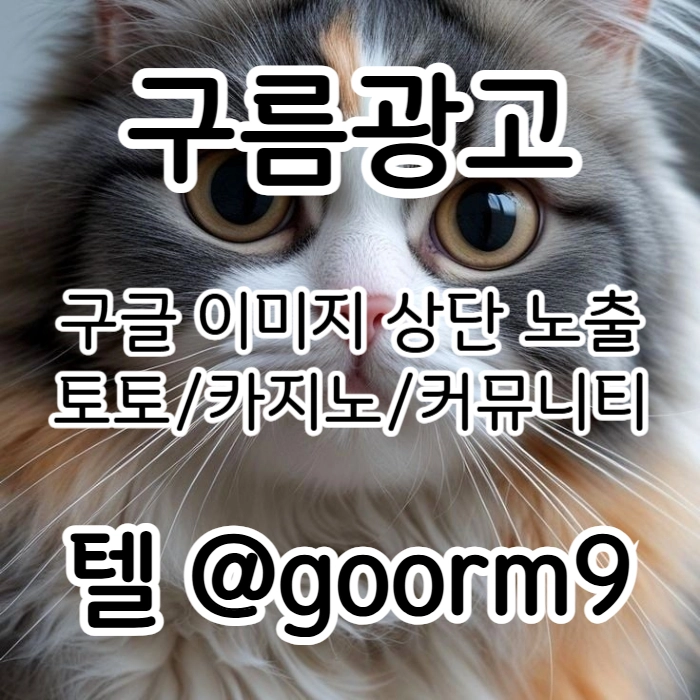 [[시대의 흐름은 구글홍보]] 토토홍보 | 카지노홍보 | 커뮤니티홍보 | 구름광고