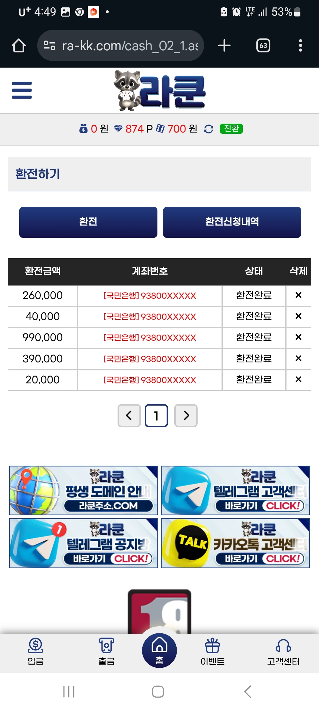 라쿤 이용 후기