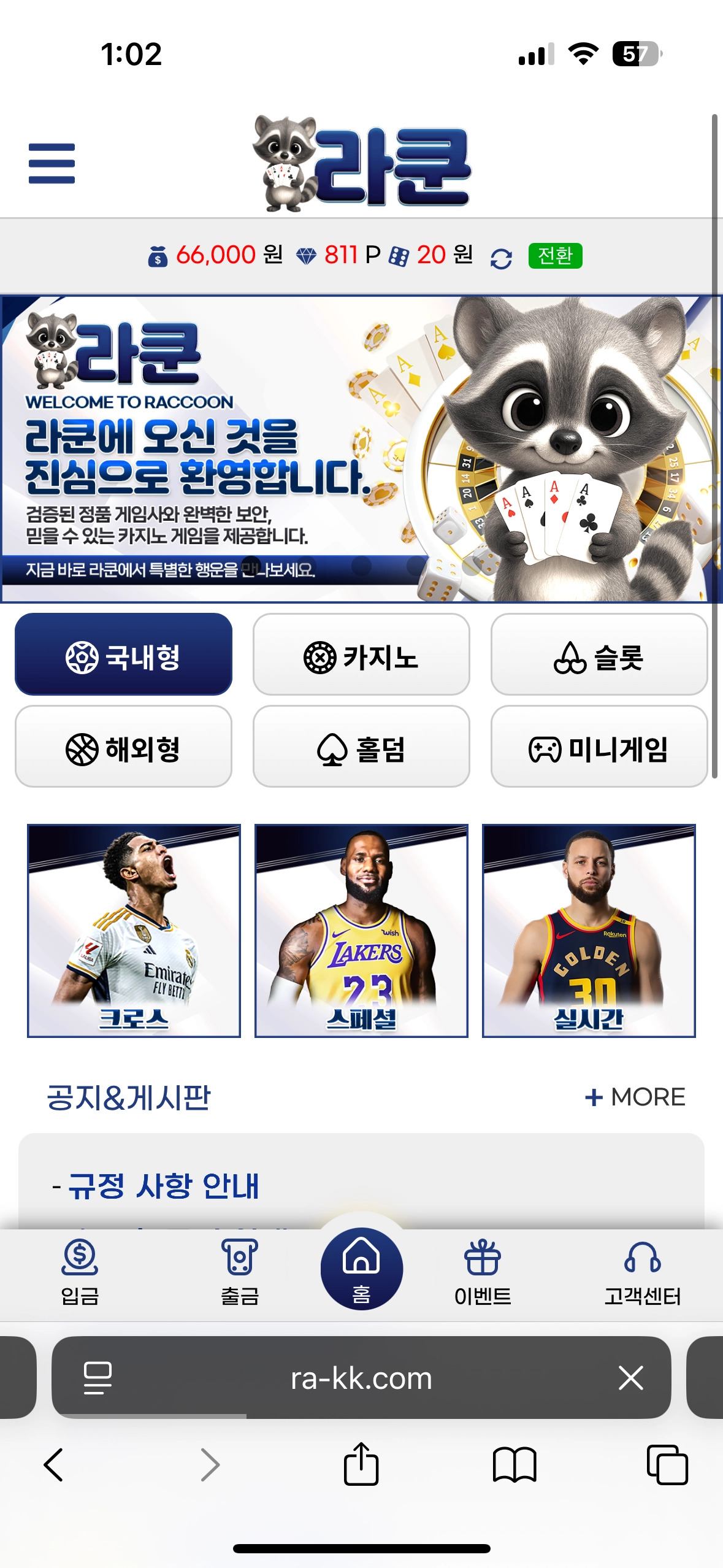 라쿤 실이용 후기