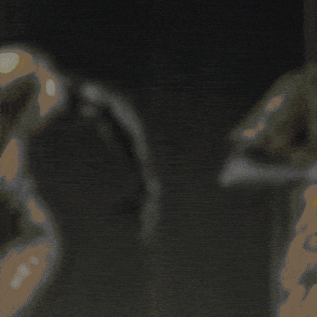 모모벳 신규 보증업체 입점 안내