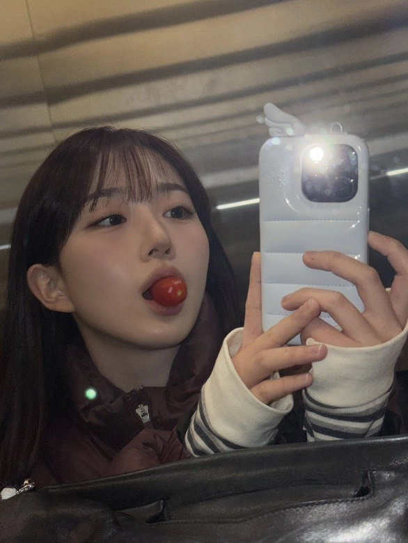 제 최애 아이돌